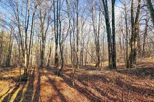 4824N Lake Winter Rd, Winter, WI 54896 - Photo 48