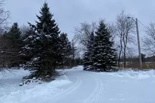 9505 Town Hall Rd, Amherst Junction, WI 54407 - Photo 36