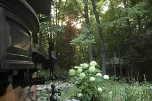 217330 Silver Birch Cir, Elderon, WI 54423 - Photo 2