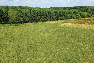 124236 Kohl Rd, Athens, WI 54411 - Photo 26
