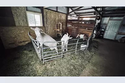 2851 Trestik Road, Junction City, WI 54443 - Photo 32