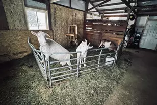 2851 Trestik Rd, Junction City, WI 54443 - Photo 32