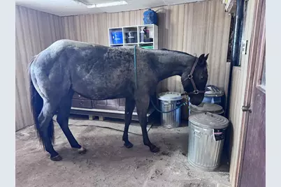 10671 State Highway 10, Marshfield, WI 54449 - Photo 12