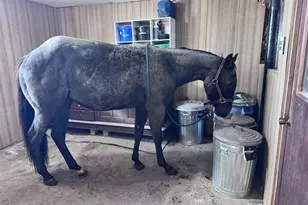 10671 State Hwy 10, Marshfield, WI 54449 - Photo 12