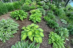 2244 River Rd, Tomahawk, WI 54487 - Photo 56