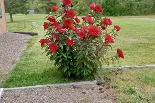 6854 N Zett Rd, , WI 54896 - Photo 36