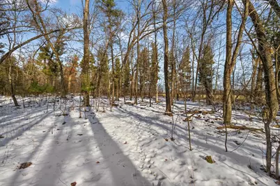 12.6 Acres Czech Avenue, Friendship, WI 53934 - Photo 32