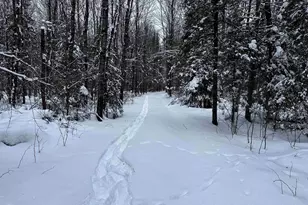 15865 Thrasher Rd, Alvin, WI 54542 - Photo 2