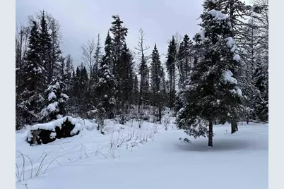 15865 Thrasher Road, Alvin, WI 54542 - Photo 26