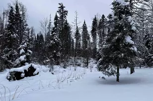 15865 Thrasher Rd, Alvin, WI 54542 - Photo 26