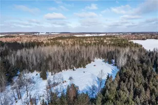 W614 Co Rd C, Gleason, WI 54435 - Photo 54