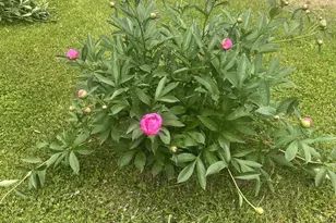 W614 Co Rd C, Gleason, WI 54435 - Photo 58