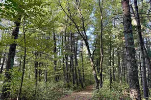 W6378 County Rd H, Phillips, WI 54555 - Photo 28