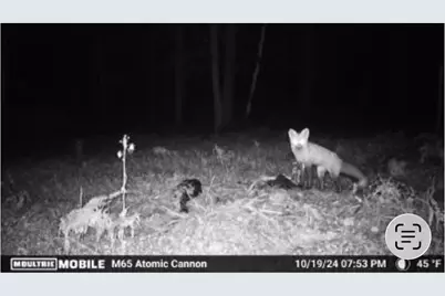 W6378 County Road H, Phillips, WI 54555 - Photo 36