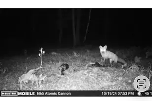 W6378 County Rd H, Phillips, WI 54555 - Photo 36