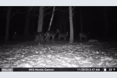 W6378 County Road H, Phillips, WI 54555 - Photo 34