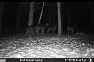 W6378 County Rd H, Phillips, WI 54555 - Photo 34