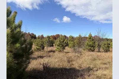 Lot 5 Bell Road, Wisconsin Rapids, WI 54494 - Photo 6