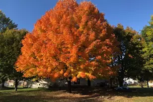 150081 Peregrine Way, Wausau, WI 54401 - Photo 60