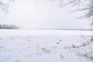 204330 Lakehurst Rd, Mosinee, WI 54455 - Photo 34