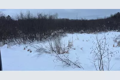 Lot On Worsech Road, Catawba, WI 54515 - Photo 8