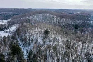 N1803 Berlin Rd, Ogema, WI 54459 - Photo 18