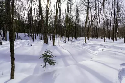 N1803 Berlin Road, Ogema, WI 54459 - Photo 14