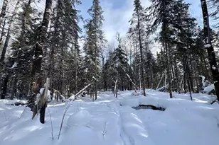 25392 Hwy 13, Glidden, WI 54527 - Photo 28