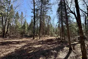25392 Hwy 13, Glidden, WI 54527 - Photo 38