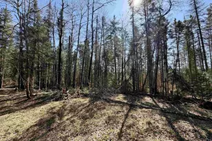 25392 Hwy 13, Glidden, WI 54527 - Photo 36