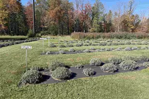 W6098 E Stelling Rd, Tomahawk, WI 54487 - Photo 32