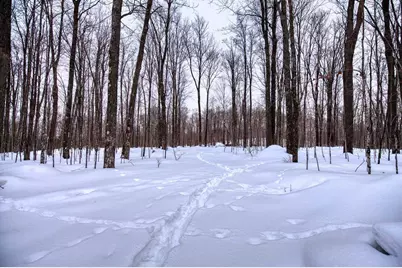 N16381 Sand Cove Pointe Road, Park Falls, WI 54552 - Photo 8