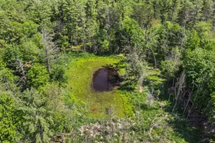 1751 Buttercup Ave, Arkdale, WI 54613 - Photo 46