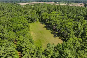 1751 Buttercup Ave, Arkdale, WI 54613 - Photo 48
