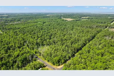 1751 Buttercup Avenue, Arkdale, WI 54613 - Photo 34