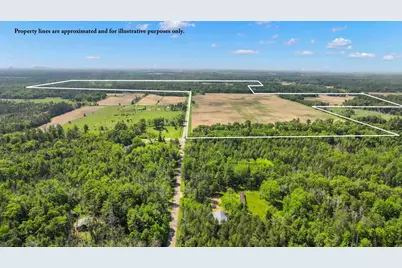 1751 Buttercup Avenue, Arkdale, WI 54613 - Photo 44
