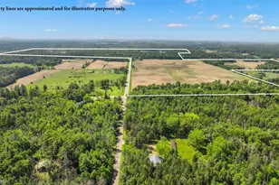 1751 Buttercup Ave, Arkdale, WI 54613 - Photo 44