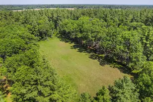 1751 Buttercup Ave, Arkdale, WI 54613 - Photo 48