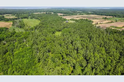 1751 Buttercup Avenue, Arkdale, WI 54613 - Photo 46