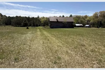 1751 Buttercup Avenue, Arkdale, WI 54613 - Photo 12
