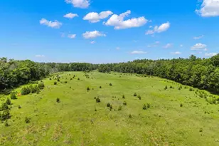 1751 Buttercup Ave, Arkdale, WI 54613 - Photo 58