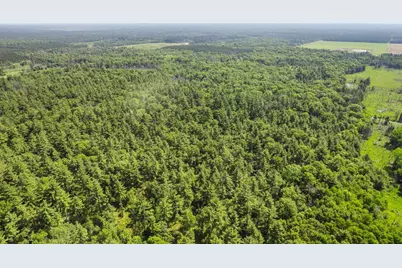 1751 Buttercup Avenue, Arkdale, WI 54613 - Photo 36