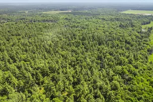 1751 Buttercup Ave, Arkdale, WI 54613 - Photo 36