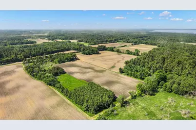 Lot 1-3 Buttercup Avenue, Arkdale, WI 54613 - Photo 4