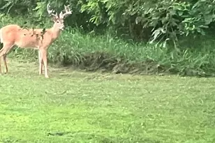 12320 Prairie Dr, Plover, WI 54467 - Photo 54