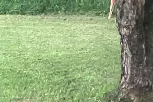 12320 Prairie Dr, Plover, WI 54467 - Photo 58