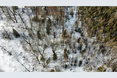 W18960 Emma Street, Aniwa, WI 54408 - Photo 54