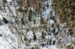 W18960 Emma St, Aniwa, WI 54408 - Photo 54