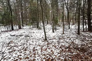 N11278 Kaufman Rd, Tomahawk, WI 54487 - Photo 30