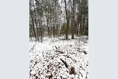 N11278 Kaufman Road, Tomahawk, WI 54487 - Photo 32